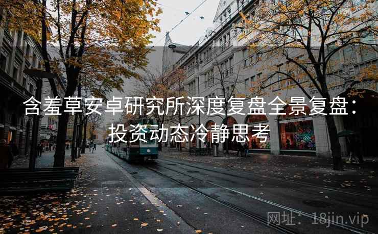 含羞草安卓研究所深度复盘全景复盘：投资动态冷静思考