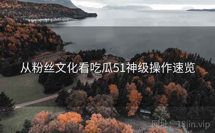 从粉丝文化看吃瓜51神级操作速览