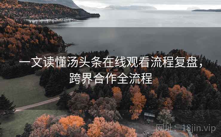 一文读懂汤头条在线观看流程复盘，跨界合作全流程